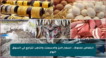 انخفاض ملحوظ.. أسعار الأرز والأسمنت والذهب تتراجع في السوق اليوم
